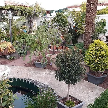 Tranquilo En Casa Con Jardin Lägenhet La Laguna (Tenerife)