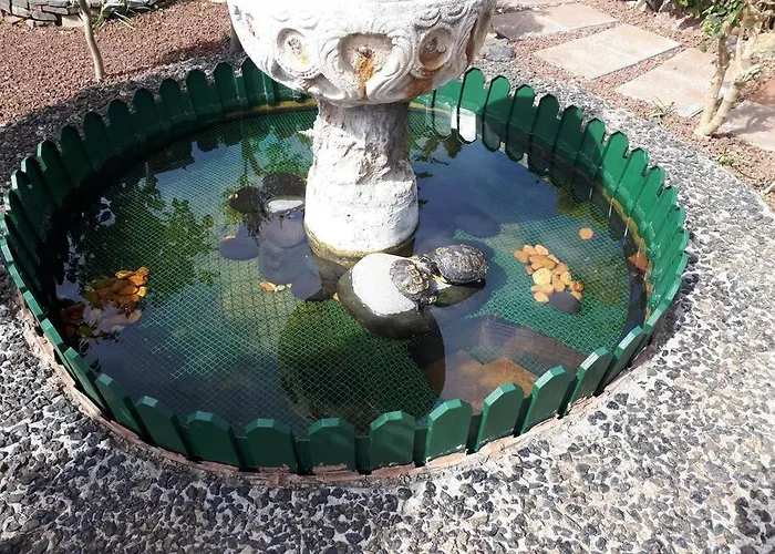 Apartment Tranquilo En Casa Con Jardin San Cristóbal de La Laguna