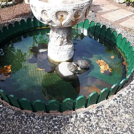 דירה Tranquilo En Casa Con Jardin לה לגונה