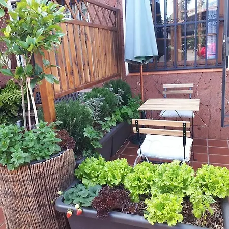 דירה Tranquilo En Casa Con Jardin לה לגונה