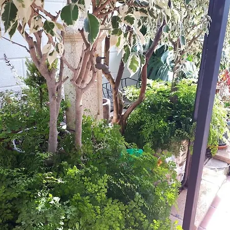 Tranquilo En Casa Con Jardin *