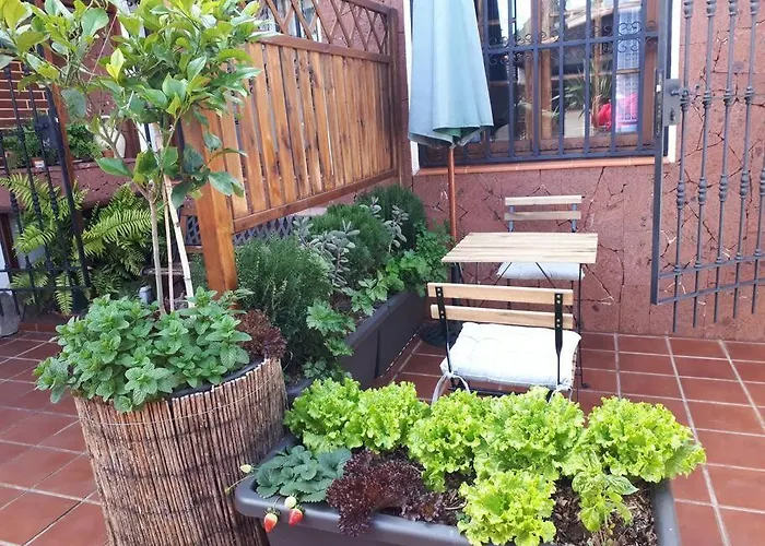 شقة Tranquilo En Casa Con Jardin لا لاغونا